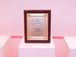 Nominacja do ZŁOTEGO MEDALU na Międzynarodowych Targach Poznańskich 2009 za PENDRIVE w DOWOLNYM KSZTAŁCIE.