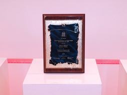 III miejsce za Najbardziej Kreatywny Upominek Targów EURO-REKLAMA 2009 za PenDrive długopis z kamerą filmową.